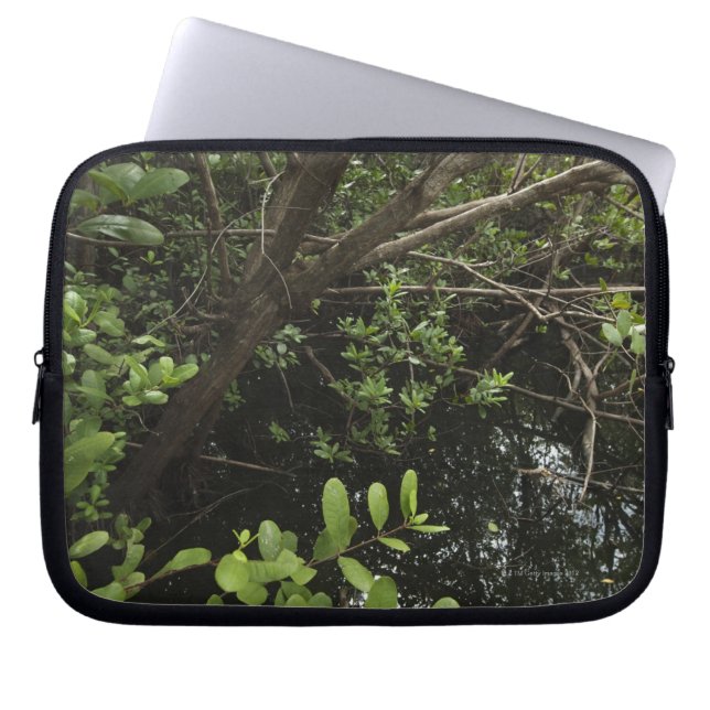 Funda Para Portátil Charca tropical de la sal (Frente)