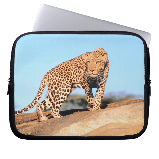 Funda Para Portátil Cheetah (Frente)