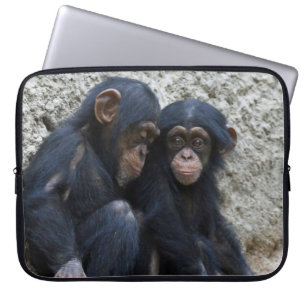 Funda Para Portátil Chimpanzee 002