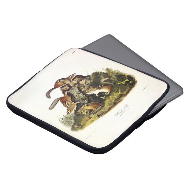 Funda Para Portátil Chip Squirrel ( Eastern Chipmunk ) por Audubon (Superior anverso)