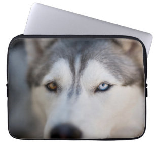Funda Para Portátil Cierre de la vista estática de un Malamute de Ala