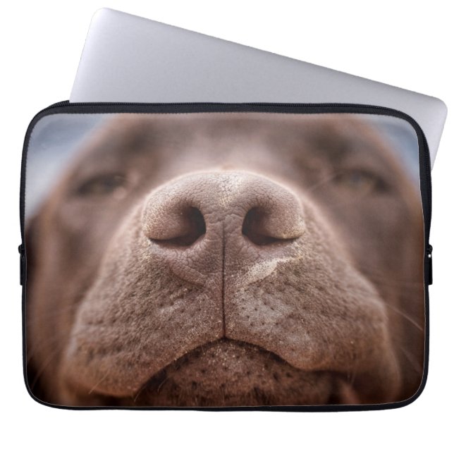 Funda Para Portátil Cierre de Nose de Labrador de Chocolate (Frente)
