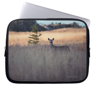 Funda Para Portátil Ciervos en el campo
