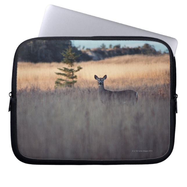 Funda Para Portátil Ciervos en el campo (Frente)