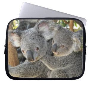 Funda Para Portátil Cinereus Queensland del Phascolarctos de la koala.
