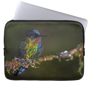 Funda Para Portátil Colibrí