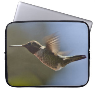 Funda Para Portátil Colibrí en vuelo