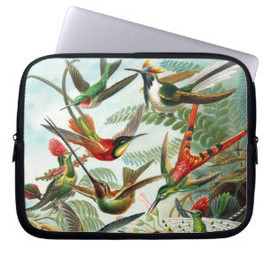 Funda Para Portátil Colibríes de Ernst Haeckel