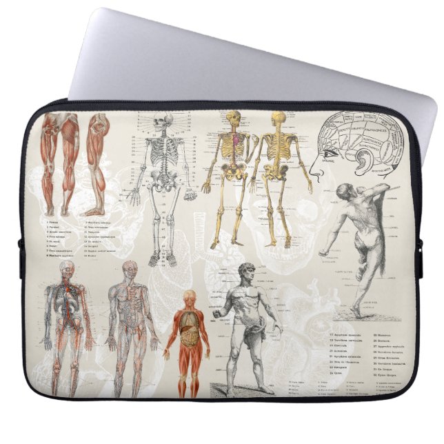 Funda Para Portátil Collage de arte de la biología de la anatomía vint (Frente)