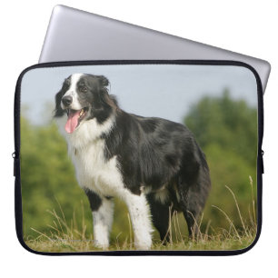 Funda Para Portátil Colocación del jadeo del border collie