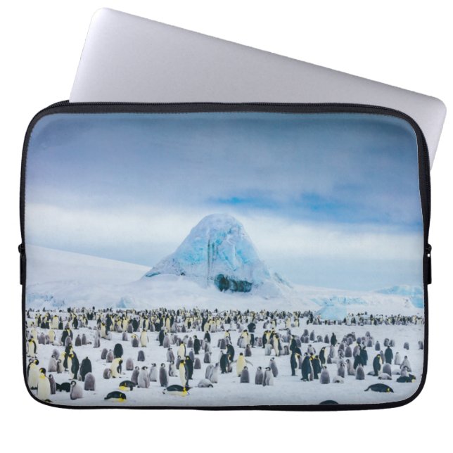 Funda Para Portátil Colonia del pingüino de emperador (Frente)