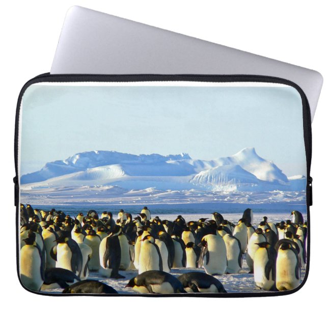 Funda Para Portátil Colonia pingüino sobre hielo (Frente)