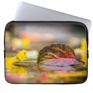 Funda Para Portátil Colores de caída