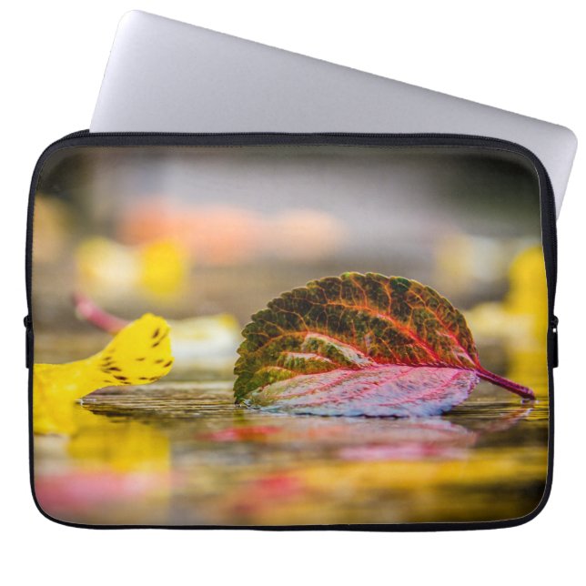 Funda Para Portátil Colores de caída (Frente)