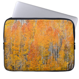 Funda Para Portátil Colores de otoño en arboledas de álamos