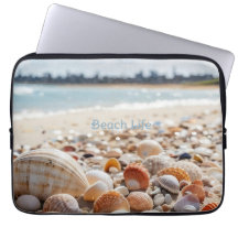 conchas marinas en la playa
