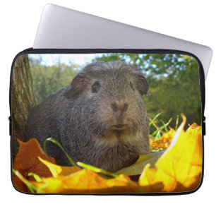 Funda Para Portátil Conejillo de Indias lindo en naturaleza