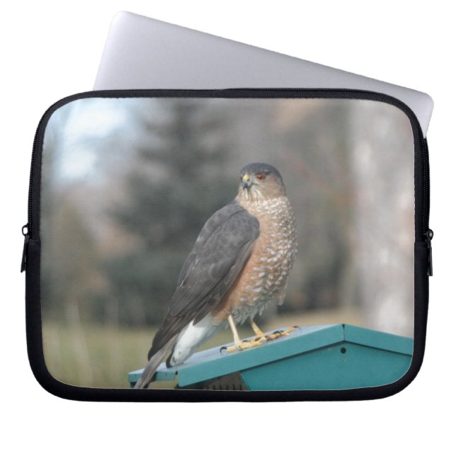 Funda Para Portátil Coopers Hawk (Frente)