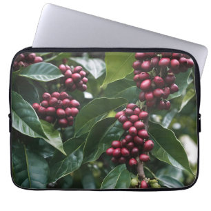 Funda Para Portátil **"Cosecha en flor: granos de café en el árbol"**