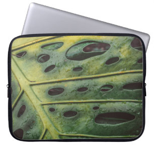 Funda Para Portátil Costa Rica