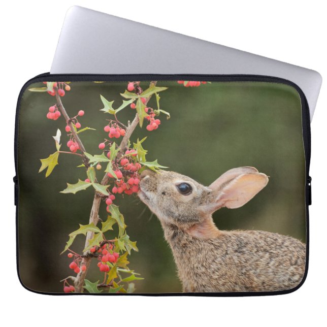 Funda Para Portátil Cottontail oriental | Texas del Sur (Frente)
