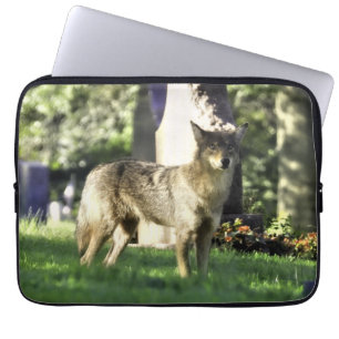 Funda Para Portátil Coyote en el cementerio