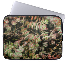 Funda Para Portátil Crassula perforata