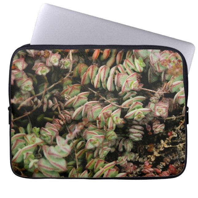Funda Para Portátil Crassula perforata (Frente)