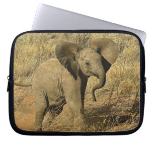 Funda Para Portátil Cría de elefante africano, Loxodonta Africana,