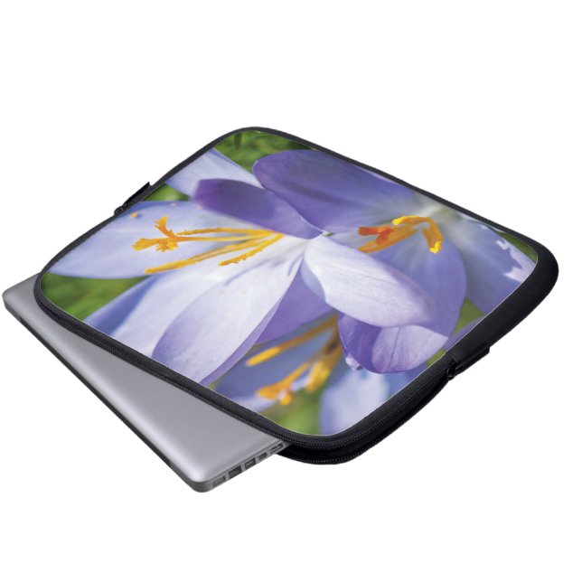 Funda Para Portátil Crocus (Inferior anverso)