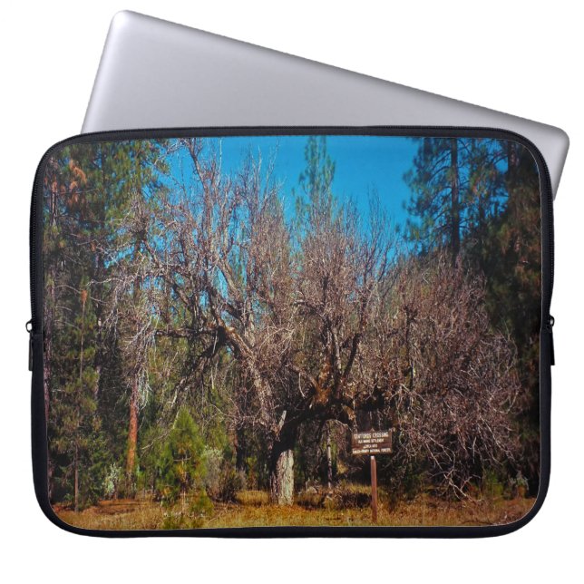 Funda Para Portátil Crossing Stafford...... (Frente)