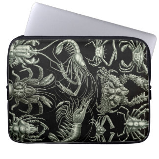 Funda Para Portátil Crustáceos Vintage Haeckel