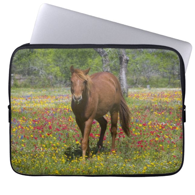 Funda Para Portátil Cuarto caballo en campo de flores silvestres (Frente)
