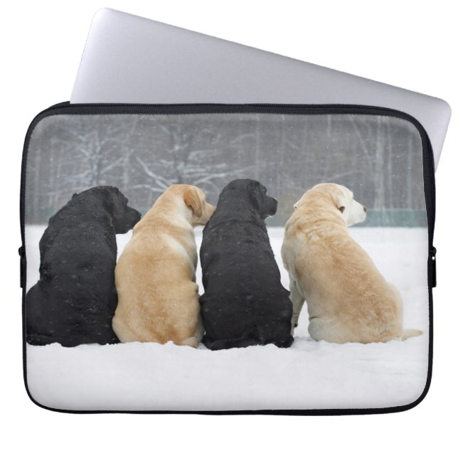 Funda Para Portátil Cuatro Perros De Labrador En Nieve (Frente)
