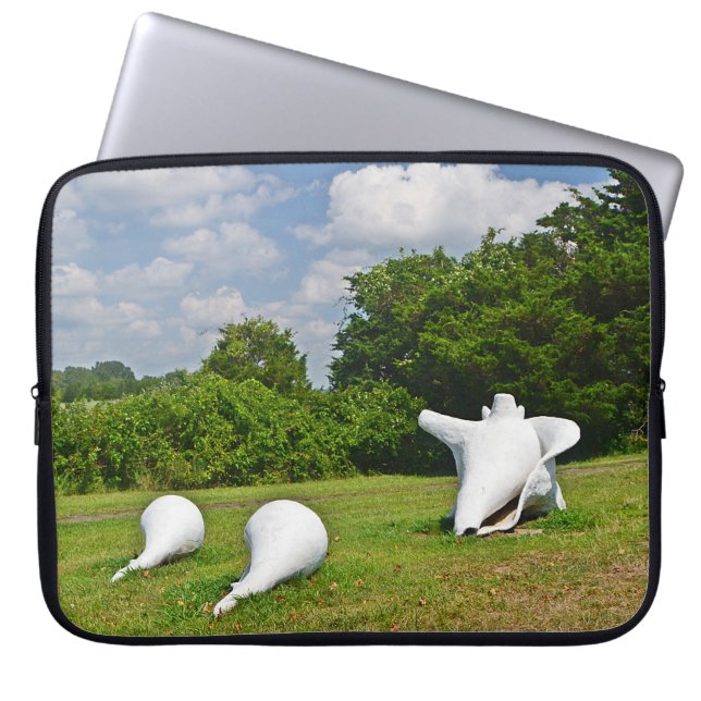 Funda Para Portátil Cubierta para portátiles Shell (Frente)