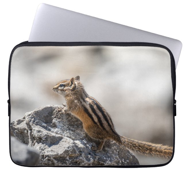 Funda Para Portátil Curioso Chipmunk marrón en Alberta (Frente)