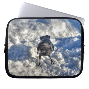 Funda Para Portátil Cute Black Raven en la foto de la nieve