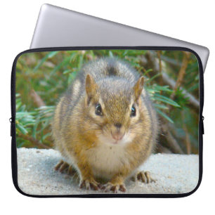 Funda Para Portátil Cute Chipmunk Tiene La Vista En Ti
