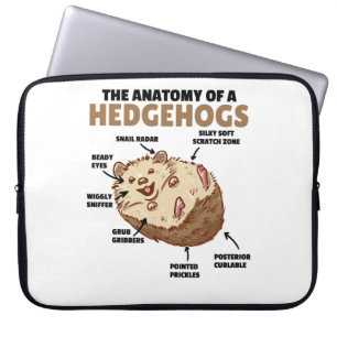 Funda Para Portátil Cute Hedgehog Explicación Anatomía De Un Hedgeogs