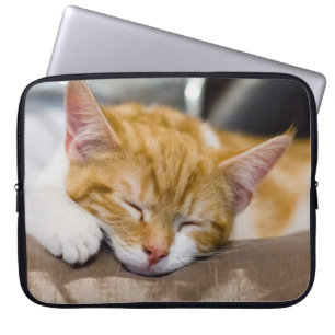 Funda Para Portátil Cute Kitten