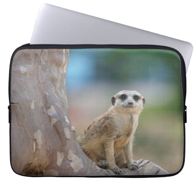 Funda Para Portátil Cute Meerkat Sat en el árbol (Frente)