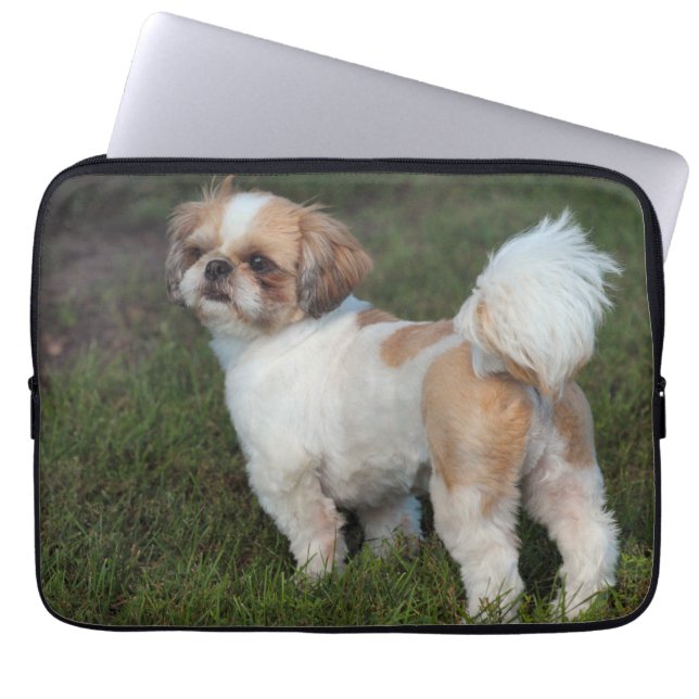 Funda Para Portátil Cutest shih tzu (Frente)