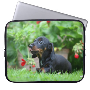 Funda Para Portátil Dachshund miniatura Liso-haired 1