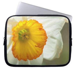 Funda Para Portátil Daffodil