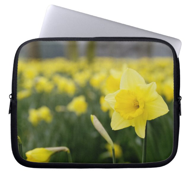 Funda Para Portátil Daffodils (RF) (Frente)