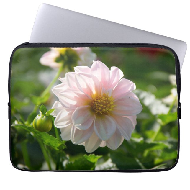 Funda Para Portátil Dahlia blanca en la foto del jardín (Frente)