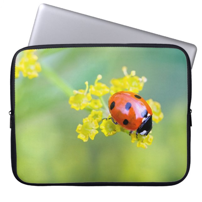 Funda Para Portátil dama encima (Frente)