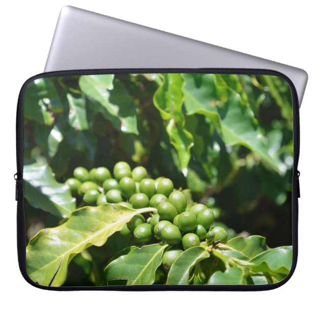Funda para portátil de bayas de café verde (Frente)