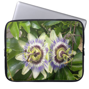 Funda para portátil de Flor de la Pasión Púrpura B