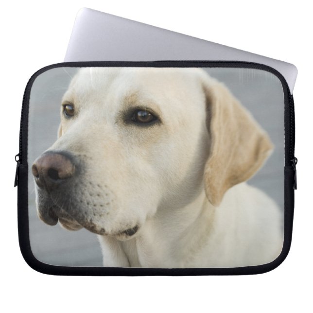 Funda para portátil de Labrador Amarillo (Frente)